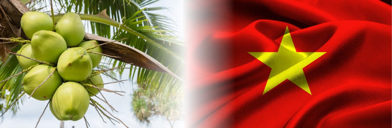 สหรัฐฯ ขึ้นแท่นตลาดส่งออกมะพร้าวรายใหญ่ที่สุดของเวียดนาม