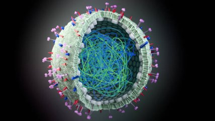 ไวรัสไข้หวัดนกคงอยู่ในชีสน้ำนมดิบได้นานถึง 120 วัน