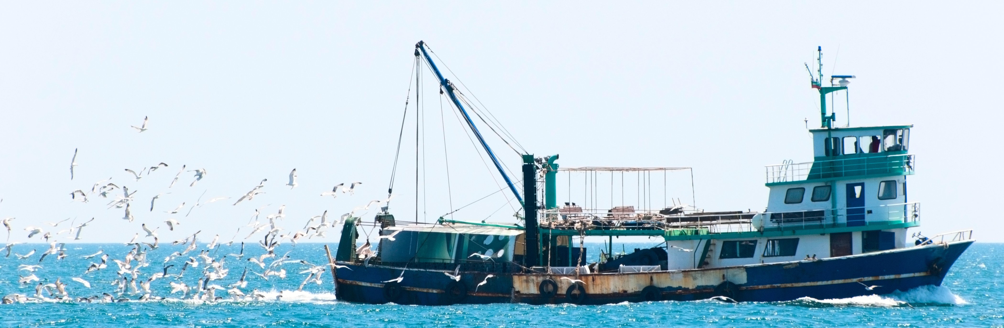 มาเลเซียเตรียมตรวจโรงงานเพาะเลี้ยงกุ้งในต่างประเทศ ยกระดับมาตรการนำเข้ากุ้งมีชีวิต