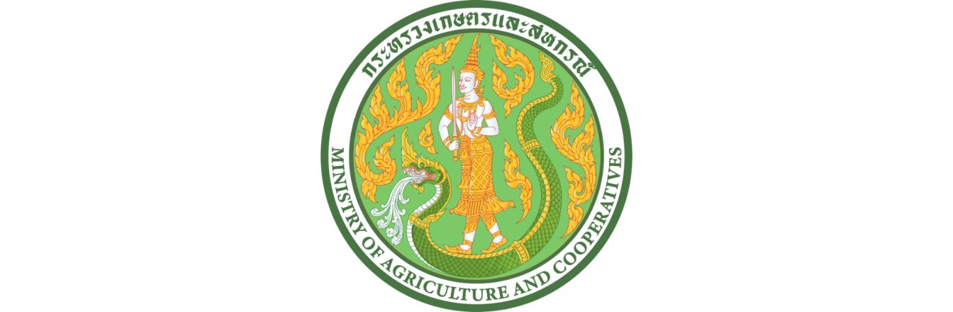 สรุปสถานการณ์การค้าผลไม้ในตลาดค้าส่งผลไม้เจียซิง เดือนกันยายน 2568