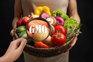 EU ระงับนำเข้ากากถั่วเหลืองจากอาร์เจนตินา - บราซิล หลังตรวจพบ GMO ต้องห้าม กระทบตลาดอาหารสัตว์โลก