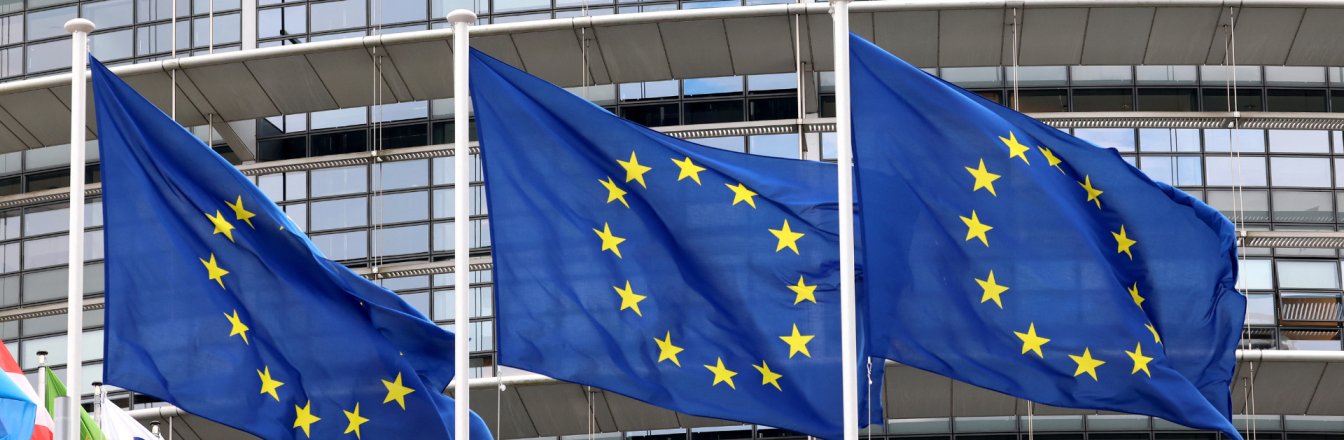 DG SANTE แจ้งการปรับอัตราความถี่ในการตรวจสอบสินค้าจากไทยที่ส่งออกไปยังสหภาพยุโรป	