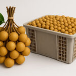 ผลไม้สดรมก๊าซซัลเฟอร์ไดออกไซด์